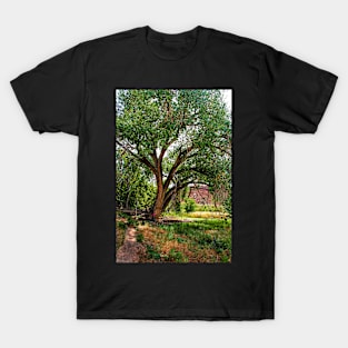 The Giant Cottonwood Tree T-Shirt